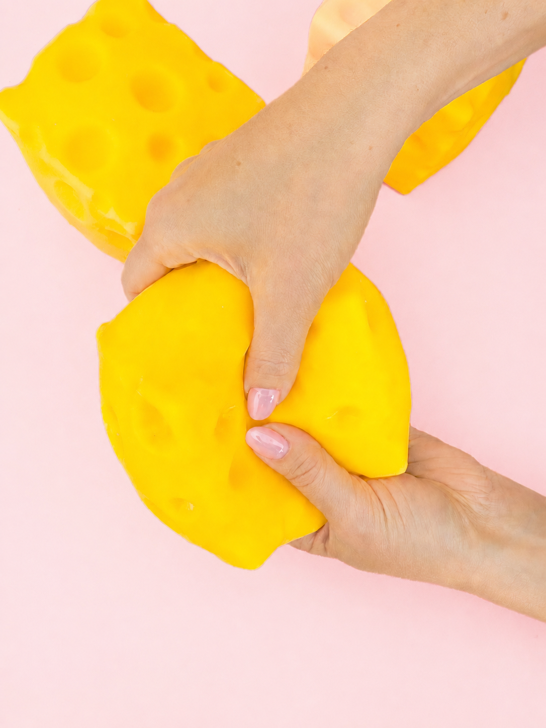 The Big Cheese Squishy 